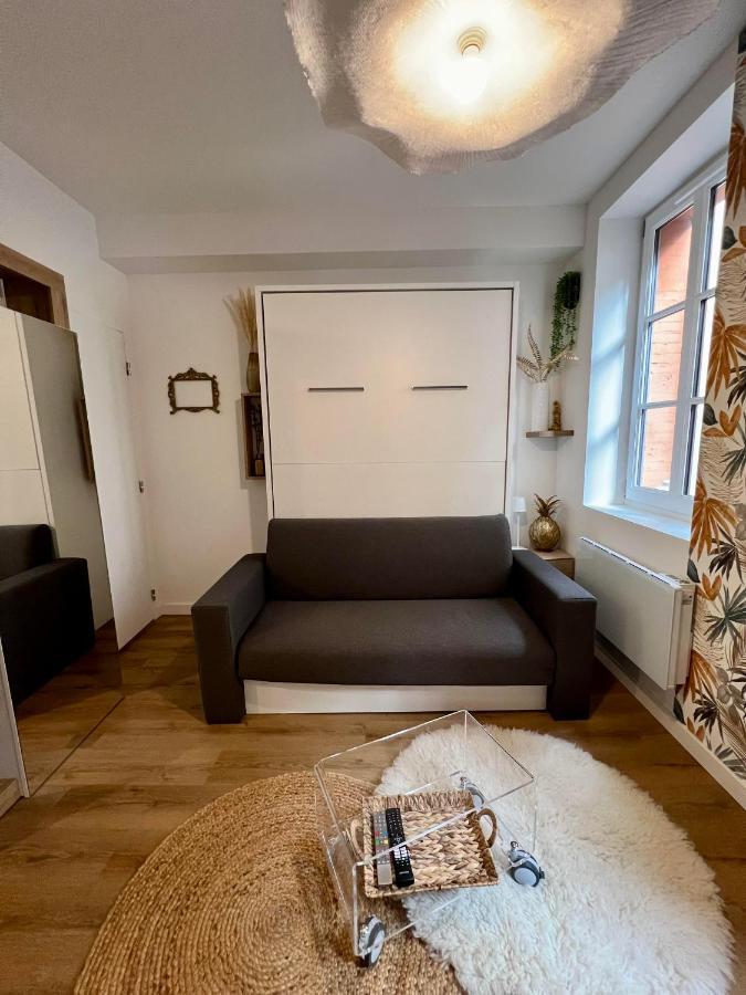Casa Nostra - T1 - Terrasse Privative Apartment Toulouse Luaran gambar